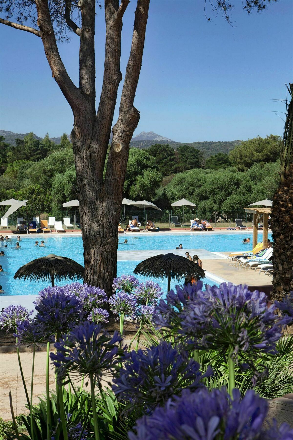 Belambra Clubs Belgodere - Golfe De Lozari Hotel Ngoại thất bức ảnh